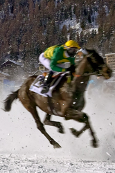 Flachrennen 2000 m, Horse Race, Horse races on snow, Pferderennen auf Schnee, Races, The European Snow Meeting, White Turf, whiteturf, 71. Grand Prix St. Moritz, Song of Victory #2, Miguel Lopez