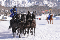 Horse Race, Horse races on snow, Intermezzo, Pferderennen auf Schnee, Races, The European Snow Meeting, White Turf, whiteturf