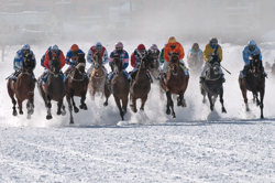 Flachrennen 2000 m, Horse Race, Horse races on snow, Pferderennen auf Schnee, Races, The European Snow Meeting, White Turf, whiteturf, 71. Grand Prix St. Moritz, All Riders, Grand Prix St. Moritz