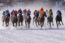 Flachrennen 2000 m, Horse Race, Horse races on snow, Pferderennen auf Schnee, Races, The European Snow Meeting, White Turf, indexPageImage, whiteturf, 71. Grand Prix St. Moritz, All Riders, Grand Prix St. Moritz
