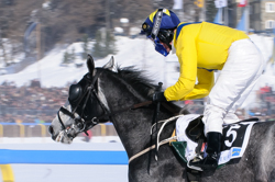 Flachrennen 2000 m, Horse Race, Horse races on snow, Pferderennen auf Schnee, Races, The European Snow Meeting, White Turf, whiteturf, 71. Grand Prix St. Moritz, Hail Caesar #5, Jim Crowley