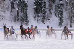 Horse Race, Horse races on snow, Internationales Trabrennen 1700 m, Pferderennen auf Schnee, Races, The European Snow Meeting, White Turf, whiteturf, Grand Prix BMW, various riders