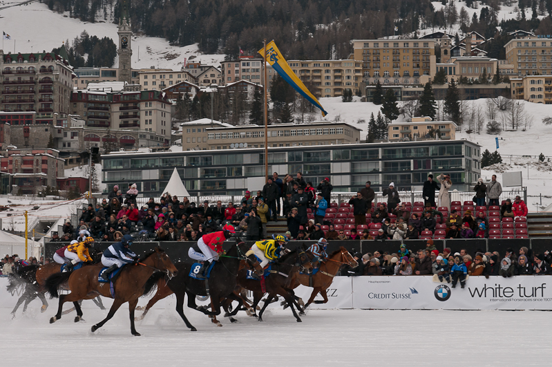 Grand Prix Prestige / Rennbahn Berlin, Hoppegarten,  Graubünden, Horse Race, Snow, Sport, St. Moritz, Switzerland, White Turf, Winter
