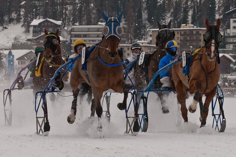 Grand Prix Gaggenau Hausgeräte,  Graubünden, Horse Race, Snow, Sport, St. Moritz, Switzerland, White Turf, Winter