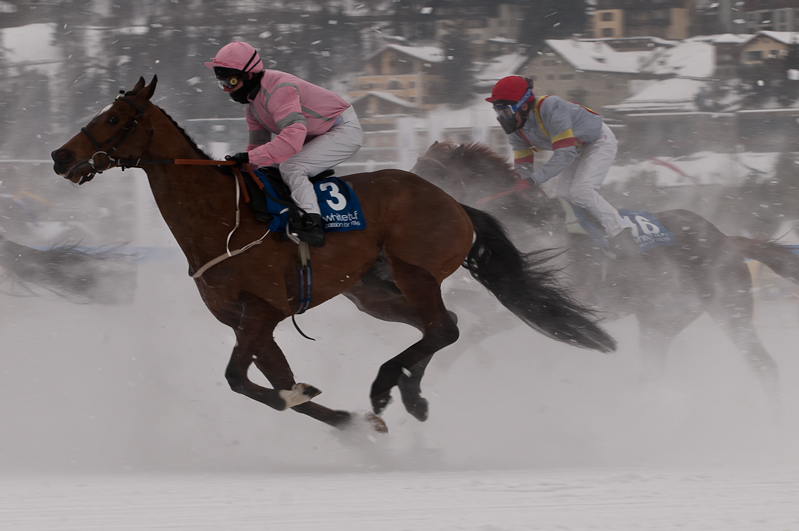 Gübelin 73. Grosser Preis von St. Moritz,  Graubünden, Horse Race, Snow, Sport, St. Moritz, Switzerland, White Turf, Winter