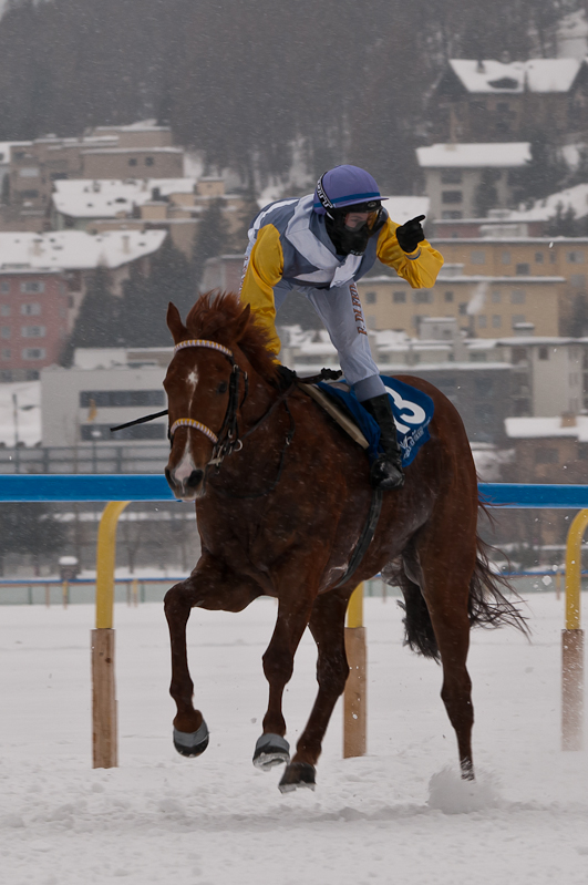 Gübelin 73. Grosser Preis von St. Moritz, Sieger, Winner - Pferd: Schützenjunker / Jockey: Daniele Porcu / Owner: Philipp Schärer Graubünden, Horse Race, Snow, Sport, St. Moritz, Switzerland, White Turf, Winter