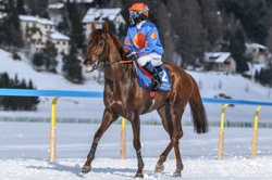 , Flat race, 1800m, Preis Hotellerie Suisse St. Moritz und Galopprennfreunde Schweiz, CHF 10000