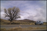 A 3 Day-Drive from Reno to Vail, The Shoe-Tree in Nevada on Highway 50, Austin, United States of America, Big Blue