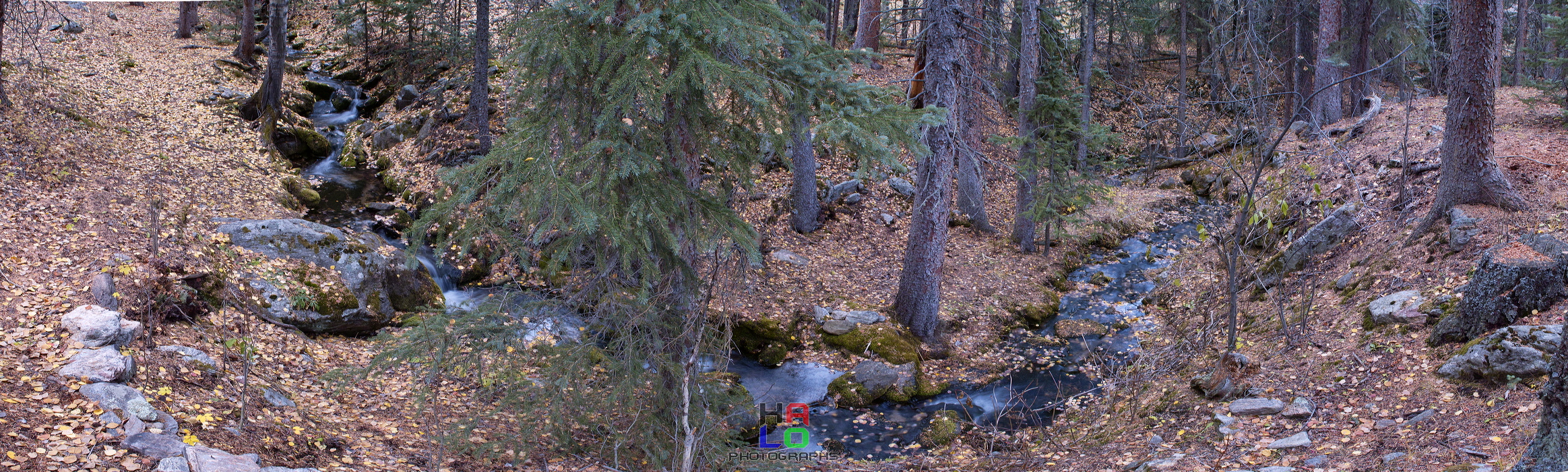 Autumn Impressions, Woods Haven Preserve, Upper Metz Creek, Evergreen, Colorado, UNITED STATES, 97630-97635-a.jpg