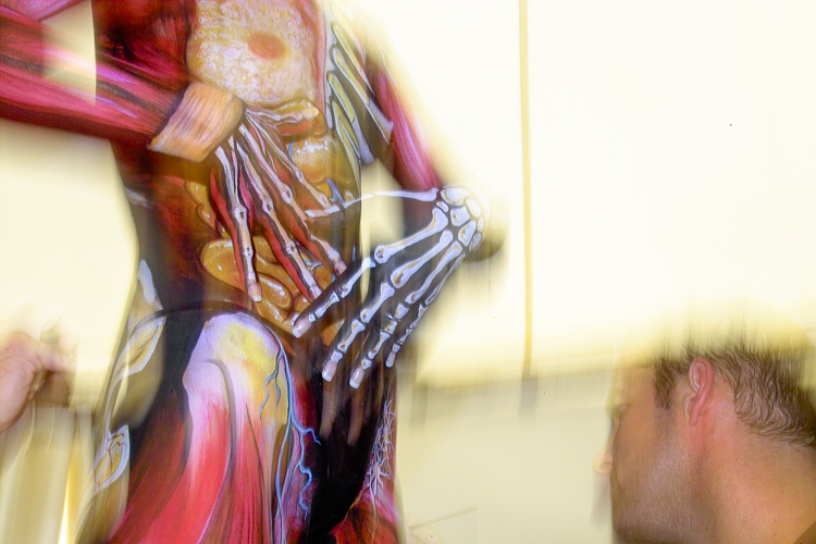 Art, Aufführung, Bodypainting, Color, Colors, Colour, Colours, Contest, Event, Farbe, Festival, Kunst, Körperbemalung, Körpermalerei, Modelle, Models, Model, Performance, Schminkkunst, Stage, Veranstaltung, Vorführung, WEB, Wettbewerb, Flash study of Nick and Brian Wolfe at work