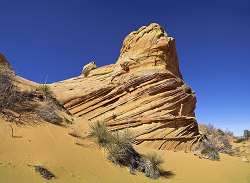 Cottonwood Cove, Coyote Buttes South, Vermilion Cliffs Wilderness Area, United States