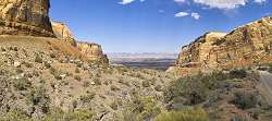 Colorado National Monument, Grand Junction, United States