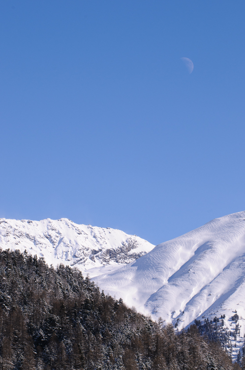 Horse Race, Horse races on snow, Pferderennen auf Schnee, Races, The European Snow Meeting, White Turf, whiteturf