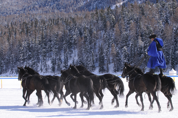 Horse Race, Horse races on snow, Intermezzo, Pferderennen auf Schnee, Races, The European Snow Meeting, White Turf, whiteturf