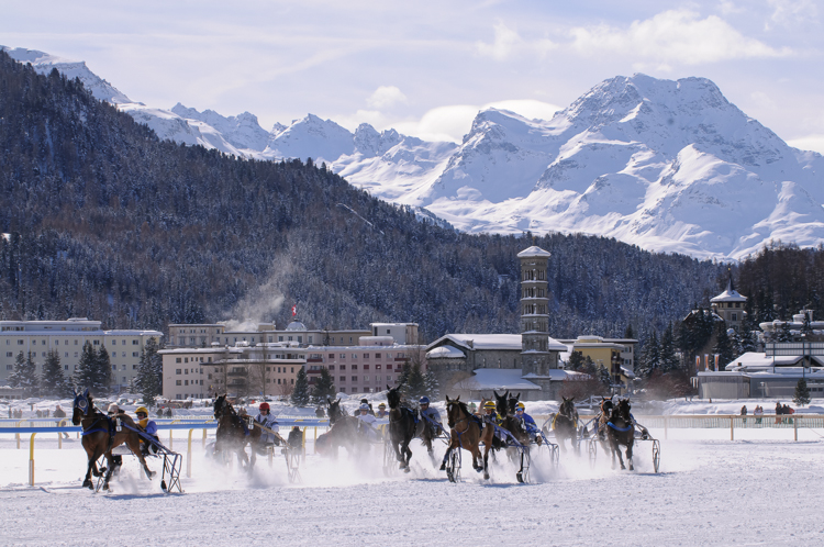 Horse Race, Horse races on snow, Internationales Trabrennen 1700 m, Pferderennen auf Schnee, Races, The European Snow Meeting, White Turf, whiteturf, Grand Prix Gaggenau, All Horses and Riders of Grand Prix Gaggenau