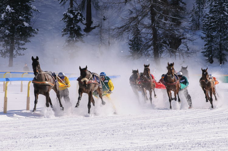 Horse Race, Horse races on snow, Pferderennen auf Schnee, Races, Skijöring-Trophy 2700 m, The European Snow Meeting, White Turf, whiteturf, Grand Prix Credit Suisse, Gallardo #1, Leo Luminati - Peredur #5, Franco Marco - Abu Ardash #3, Yves Von Ballmoos - Habanita #4, Christian Hebeisen - Luberon #7, Silvio Staub