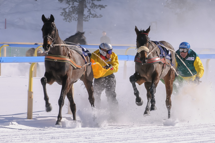 Horse Race, Horse races on snow, Pferderennen auf Schnee, Races, Skijöring-Trophy 2700 m, The European Snow Meeting, White Turf, indexPageImage, whiteturf, Grand Prix Credit Suisse, Gallardo #1, Leo Luminati - Peredur #5, Franco Marco