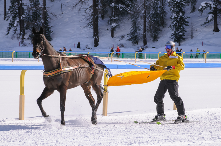 Horse Race, Horse races on snow, Pferderennen auf Schnee, Races, Skijöring-Trophy 2700 m, The European Snow Meeting, White Turf, whiteturf, Grand Prix Credit Suisse, Gallardo #1, Leo Luminati - THE WINNERS