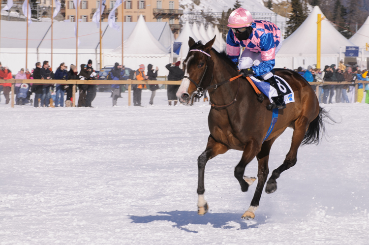 Flachrennen 2000 m, Horse Race, Horse races on snow, Pferderennen auf Schnee, Races, The European Snow Meeting, White Turf, whiteturf, 71. Grand Prix St. Moritz, Border Bloom, Fabrice Veron