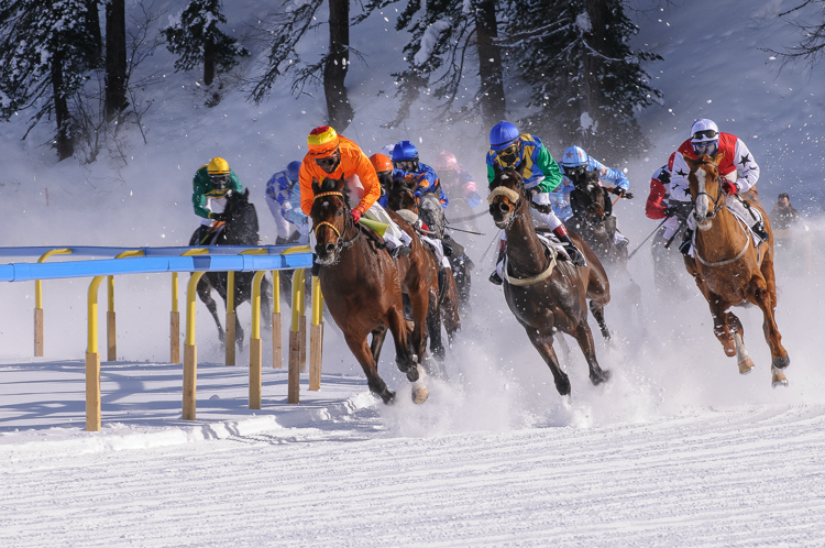 Flachrennen 2000 m, Horse Race, Horse races on snow, Pferderennen auf Schnee, Races, The European Snow Meeting, White Turf, indexPageImage, whiteturf, 71. Grand Prix St. Moritz, Song of Victory #2, Miguel Lopez - First Time #14, Toni Castanheira - Rolling Home #6, Eduardo Pedroza - Saphir Béré #4, Olivier, Plaçais - Ziking #7, Frédéric Spanu - Thantos #13, Michael Martinez - Bucked Off #11, Mario Esposito - Fighting Johan #12, Freddy Di Fède - Vlavianus #3, Lanfranco Dettori - Mannlichen #15, Steve Drowne