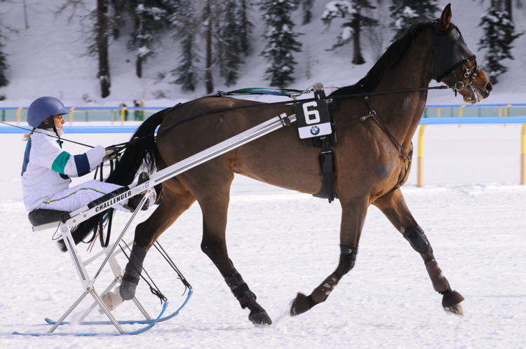 Horse Race, Horse races on snow, Internationales Trabrennen 1700 m, Pferderennen auf Schnee, Races, The European Snow Meeting, White Turf, whiteturf, Grand Prix BMW, Mask du Granit, Laurence Kindler