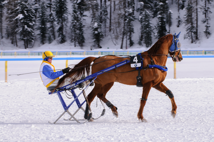 Horse Race, Horse races on snow, Internationales Trabrennen 1700 m, Pferderennen auf Schnee, Races, The European Snow Meeting, White Turf, whiteturf, Grand Prix BMW, Kristal de Mai #4, Guy Verva