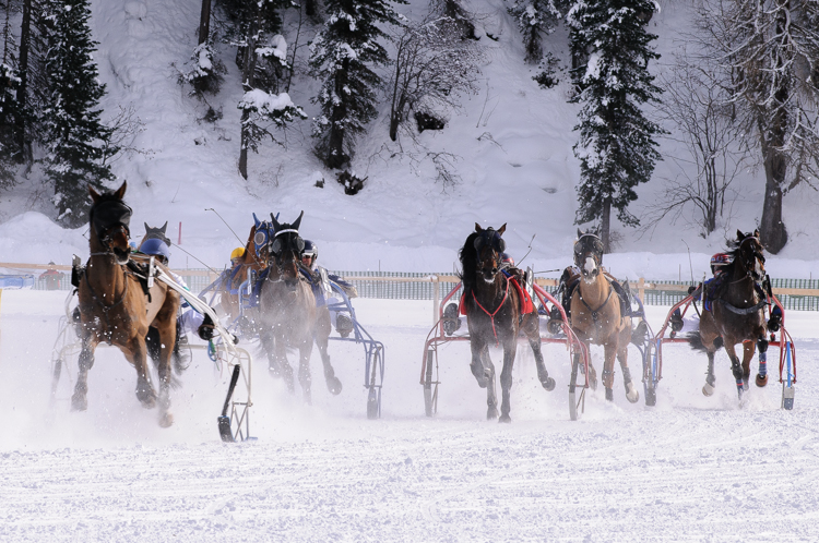 Horse Race, Horse races on snow, Internationales Trabrennen 1700 m, Pferderennen auf Schnee, Races, The European Snow Meeting, White Turf, whiteturf, Grand Prix BMW, various riders