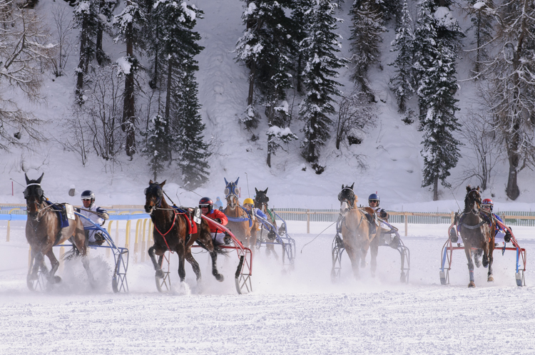 , various ridersHorse Race, Horse races on snow, Internationales Trabrennen 1700 m, Pferderennen auf Schnee, Races, The European Snow Meeting, White Turf, whiteturf, Grand Prix BMW, various riders