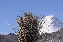 Horse Race, Horse races on snow, Pferderennen auf Schnee, Races, The European Snow Meeting, White Turf, whiteturf