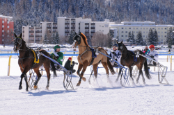 Horse Race, Horse races on snow, Internationales Trabrennen 1700 m, Pferderennen auf Schnee, Races, The European Snow Meeting, White Turf, whiteturf, Grand Prix Gaggenau, Melvin #7, Alain Benaim - Norisdor #5, Joey Vignoni - Lucky Punch #9, Alfred Fehr