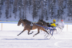 Horse Race, Horse races on snow, Internationales Trabrennen 1700 m, Pferderennen auf Schnee, Races, The European Snow Meeting, White Turf, whiteturf, Grand Prix Gaggenau, Loving Horse #1, Laurence Kindler - Lucky Punch #9, Alfred Fehr