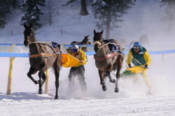 Horse Race, Horse races on snow, Pferderennen auf Schnee, Races, Skijöring-Trophy 2700 m, The European Snow Meeting, White Turf, whiteturf, Grand Prix Credit Suisse, Gallardo #1, Leo Luminati - Peredur #5, Franco Marco