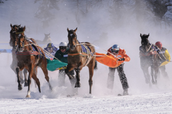 Horse Race, Horse races on snow, Pferderennen auf Schnee, Races, Skijöring-Trophy 2700 m, The European Snow Meeting, White Turf, indexPageImage, whiteturf, Grand Prix Credit Suisse, Mister Vassy #6, Fadri Casty - Habanita #4, Christian Hebeisen - Luberon #7, Silvio Staub - Blue Point #9, Erich Bottlang