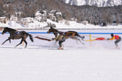 Horse Race, Horse races on snow, Pferderennen auf Schnee, Races, Skijöring-Trophy 2700 m, The European Snow Meeting, White Turf, whiteturf, Grand Prix Credit Suisse, Germansky #8, Erich Bottlang - Baileys Best #2, Jakob Broger