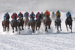Flachrennen 2000 m, Horse Race, Horse races on snow, Pferderennen auf Schnee, Races, The European Snow Meeting, White Turf, whiteturf, 71. Grand Prix St. Moritz, All Riders, Grand Prix St. Moritz