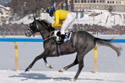 Flachrennen 2000 m, Horse Race, Horse races on snow, Pferderennen auf Schnee, Races, The European Snow Meeting, White Turf, indexPageImage, whiteturf, 71. Grand Prix St. Moritz, Hail Caesar #5, Jim Crowley