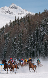 Flachrennen 1800 m, Horse Race, Horse races on snow, Pferderennen auf Schnee, Races, The European Snow Meeting, White Turf, whiteturf, Grand Prix AXA Winterthur, Buddhist Monk #6, Matej Am. Rigo - Rayo #2, Miguel Lopez - Notturno di Chopin #8, Karin  Zwalen - Atlantic Dancer #7, Olivier Plaçais - Pure Magic #11, Toni Castanheira - Raneb #3, Eric Wehrel - Shakalaka #5, Filip Minarik - Puro #4, Mathias Sautjeau