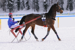 Horse Race, Horse races on snow, Internationales Trabrennen 1700 m, Pferderennen auf Schnee, Races, The European Snow Meeting, White Turf, whiteturf, Grand Prix BMW, Kilou du Val, Heiner Bracher