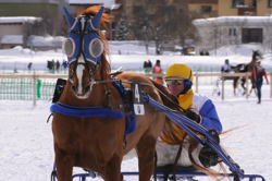 Horse Race, Horse races on snow, Internationales Trabrennen 1700 m, Pferderennen auf Schnee, Races, The European Snow Meeting, White Turf, whiteturf, Grand Prix BMW, Kristal de Mai #4, Guy Verva