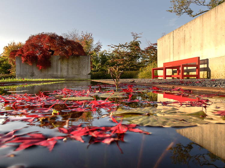 , Baummuseum, Enea Garden Baummuseum, Baumsammlung, Enzo Enea, Landscape architecture, Landschaftsarchitektur