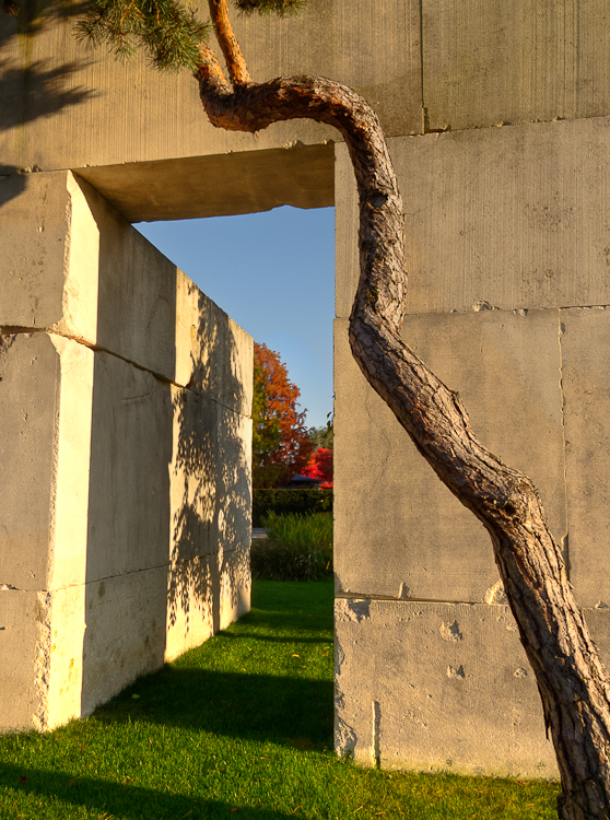 , Baummuseum, Enea Garden Baummuseum, Baumsammlung, Enzo Enea, Landscape architecture, Landschaftsarchitektur