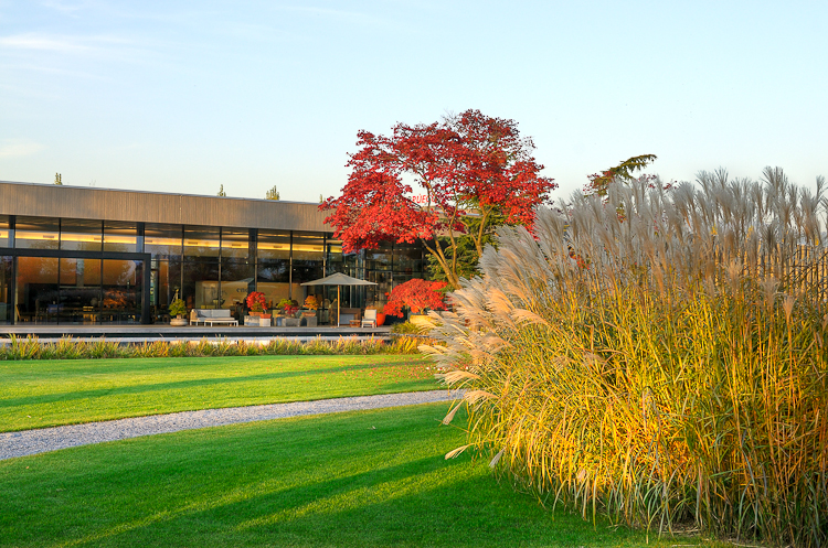 , Baummuseum, Enea Garden Baummuseum, Baumsammlung, Enzo Enea, Landscape architecture, Landschaftsarchitektur