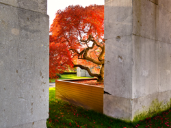 , Baummuseum, Enea Garden Baummuseum, Baumsammlung, Enzo Enea, Landscape architecture, Landschaftsarchitektur