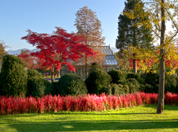 , Baummuseum, Enea Garden Baummuseum, Baumsammlung, Enzo Enea, Landscape architecture, Landschaftsarchitektur