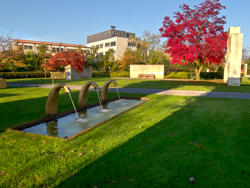 , Baummuseum, Enea Garden Baummuseum, Baumsammlung, Enzo Enea, Landscape architecture, Landschaftsarchitektur