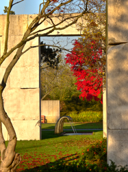 , Baummuseum, Enea Garden Baummuseum, Baumsammlung, Enzo Enea, Landscape architecture, Landschaftsarchitektur