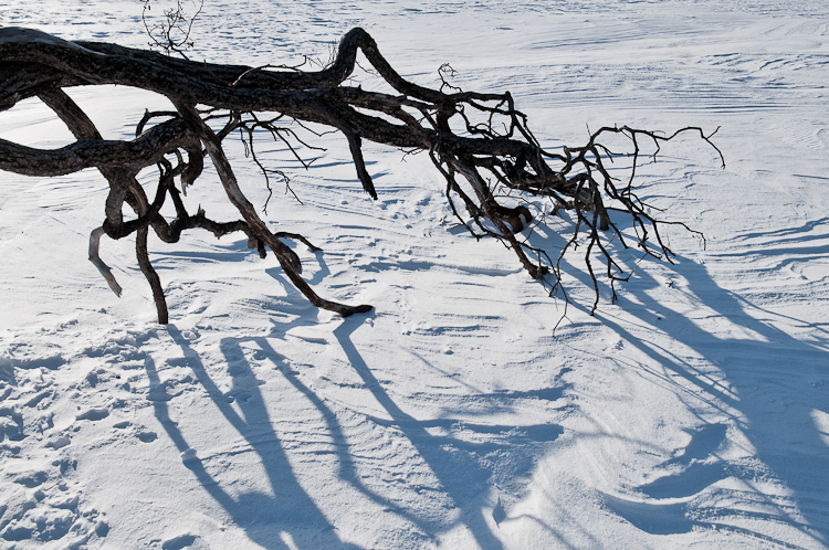 Snowdrift Formations, Wind sculpted snow fields. Abstract Formation, Engadin, Graubünden, Sils / Segl, Sils/Segl Baselgia, Snow, Switzerland, Waves of Ice, Winter