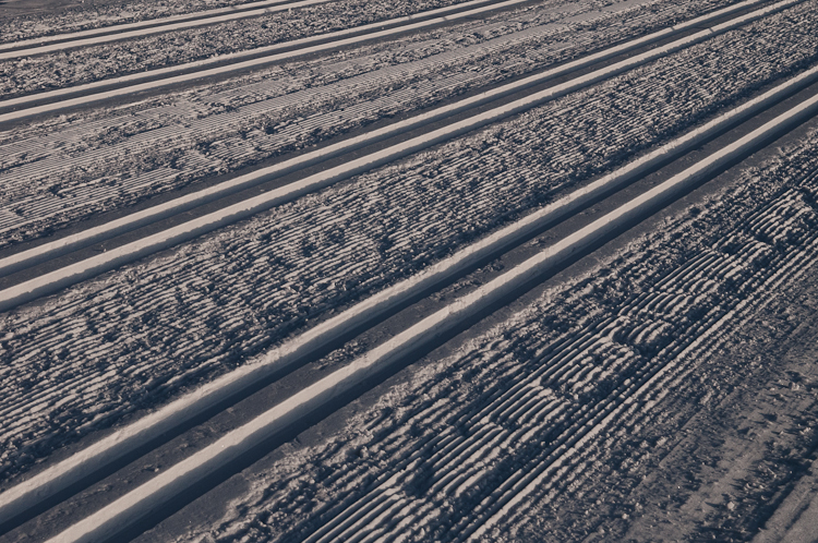 Snowdrift Formations, Machine sculpted Tracks for the Engadin Marathon. Abstract Formation, Engadin, Graubünden, Sils / Segl, Sils/Segl Baselgia, Snow, Switzerland, Waves of Ice, Winter