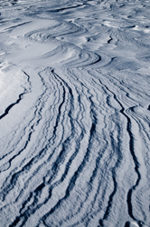 Snowdrift Formations, Wind sculpted snow fields. Abstract Formation, Engadin, Graubünden, Sils / Segl, Sils/Segl Baselgia, Snow, Switzerland, Waves of Ice, Winter