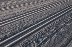 Snowdrift Formations, Machine sculpted Tracks for the Engadin Marathon. Abstract Formation, Engadin, Graubünden, Sils / Segl, Sils/Segl Baselgia, Snow, Switzerland, Waves of Ice, Winter